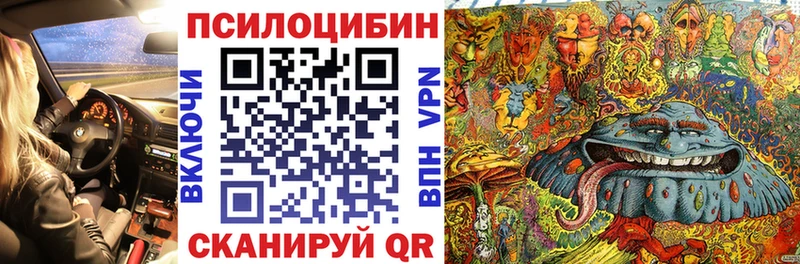 Псилоцибиновые грибы MAGIC MUSHROOMS  Озёрск 